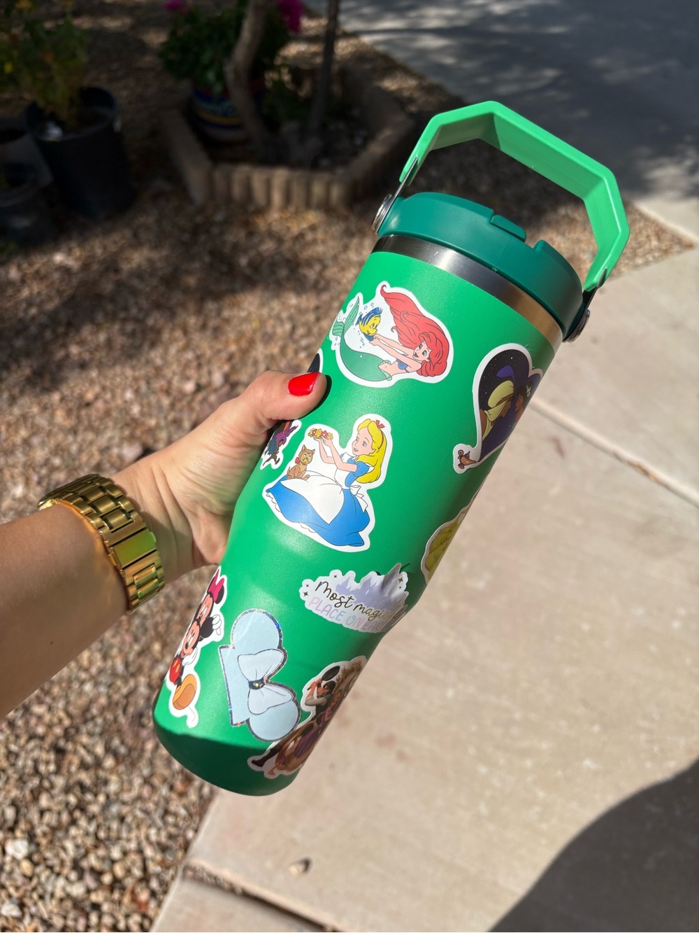 Stanley Meadow 30 oz